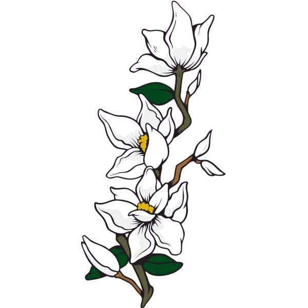 es3flower05clr Thumbnail