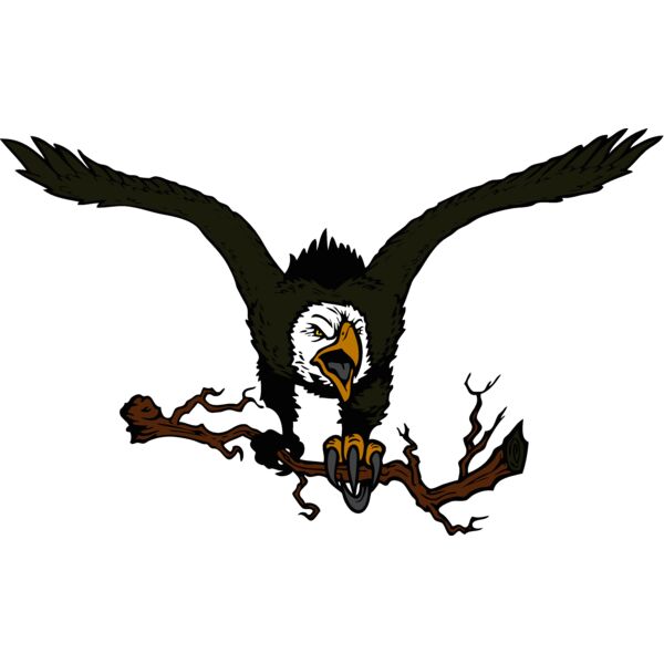 eseagle002clr Thumbnail