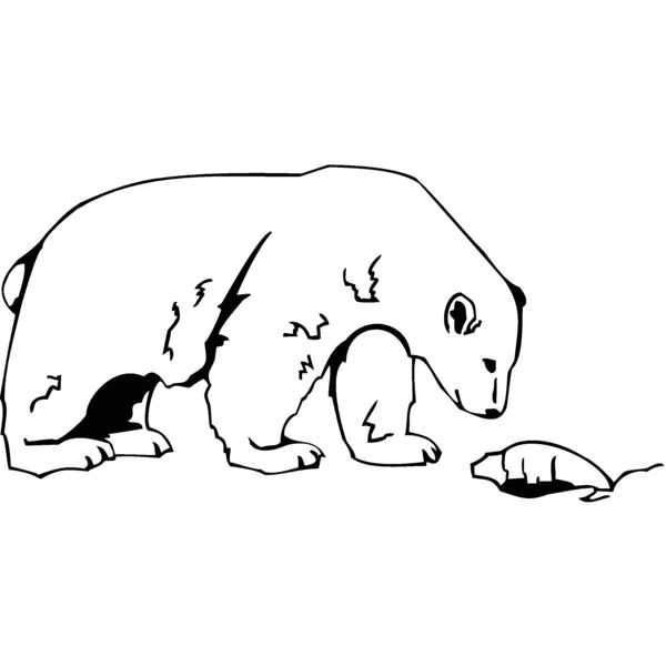 polar bear 2 Thumbnail