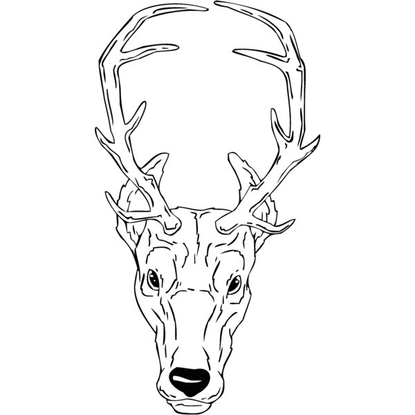 deerhd Thumbnail