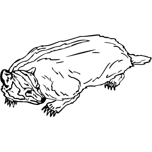 badger Thumbnail