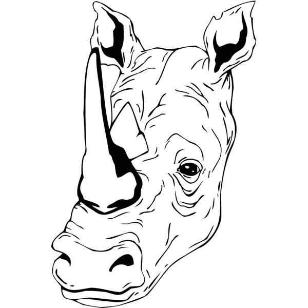 rhinohead05 Thumbnail
