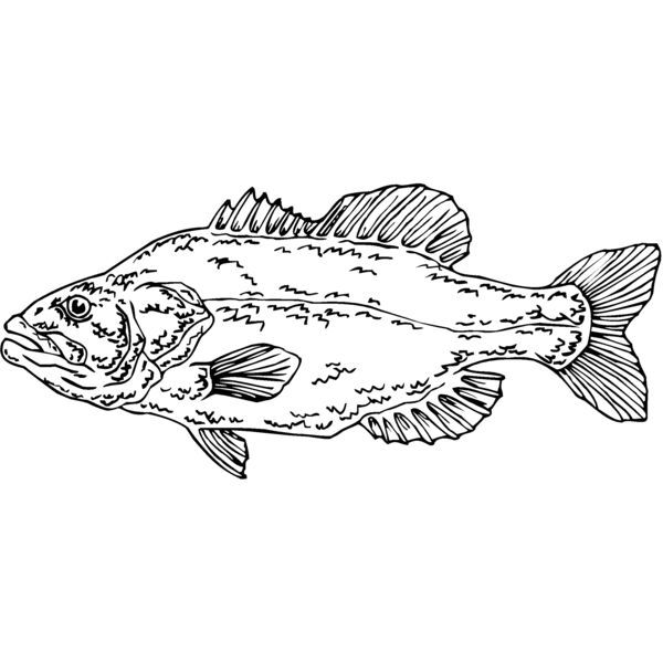 largemouthbass Thumbnail