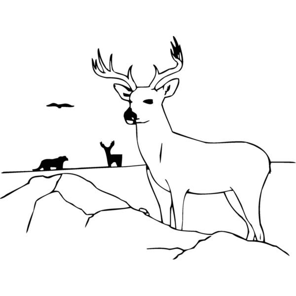 deer Thumbnail