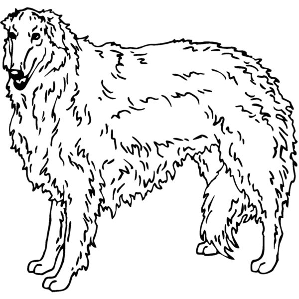 borzoi Thumbnail