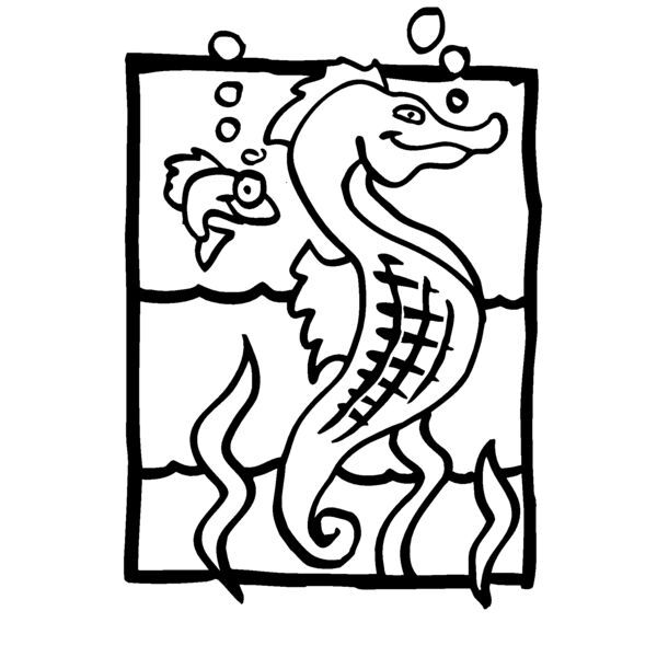 seahorse01 Thumbnail