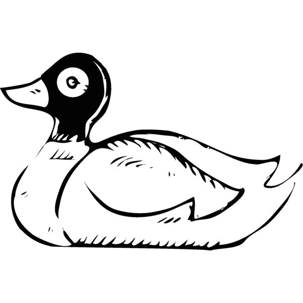 duck2 Thumbnail