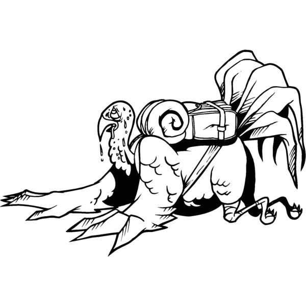 tiredturkey Thumbnail