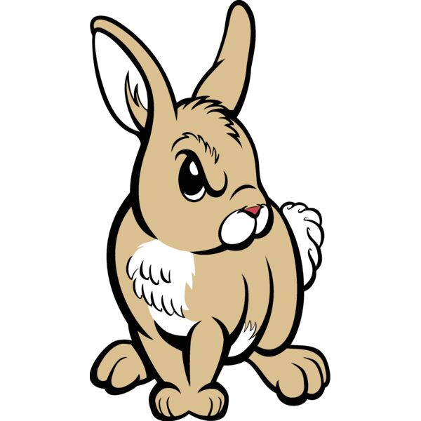 rabbit02v4clr Thumbnail