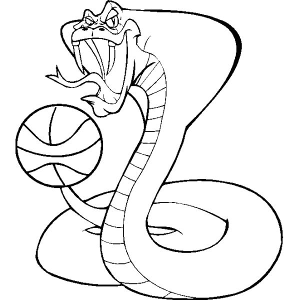 cobrabskblbns Thumbnail