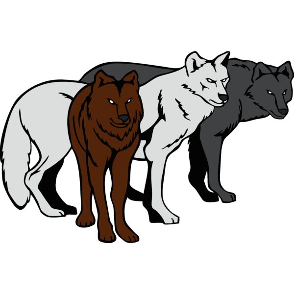 wolvesp023 Thumbnail