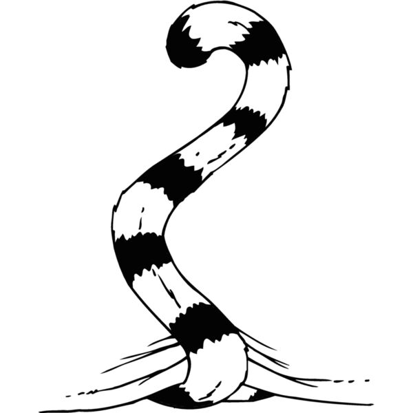 tiger tail 1 Thumbnail