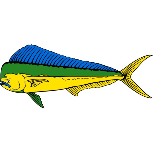 fish dolphin Thumbnail