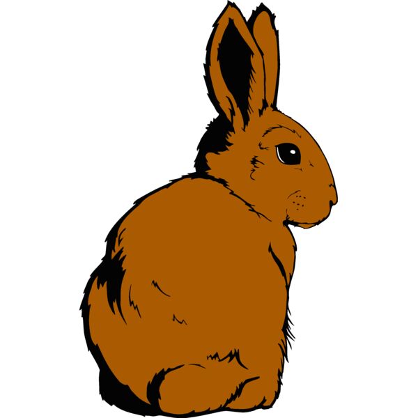 cottontail Thumbnail