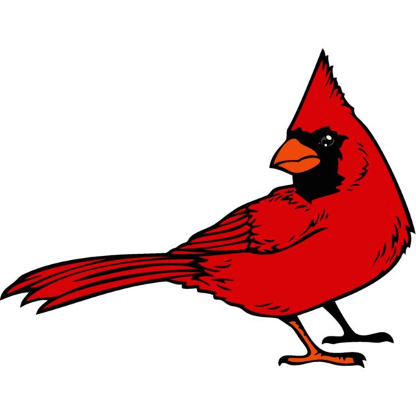 cardinaljk12 Thumbnail