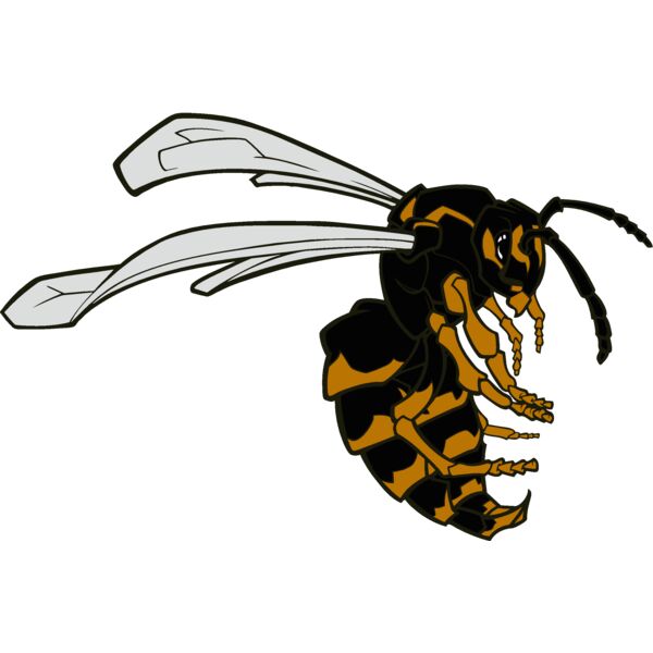 bee01v4clr Thumbnail