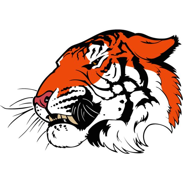 tiger08v4clr Thumbnail