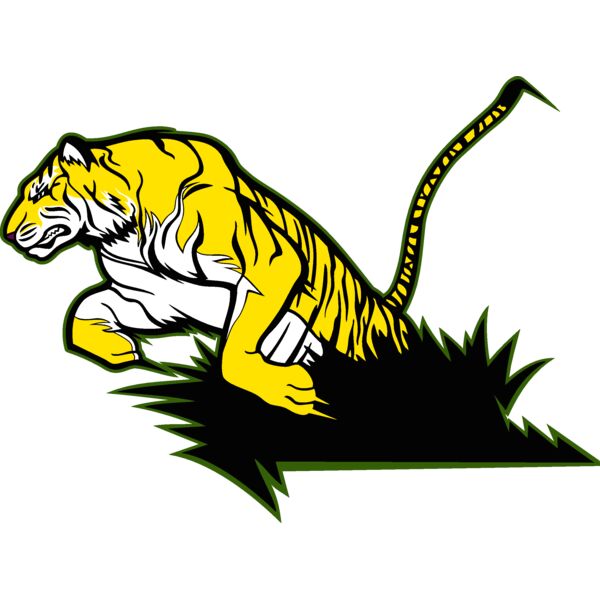 tiger16v4clr Thumbnail