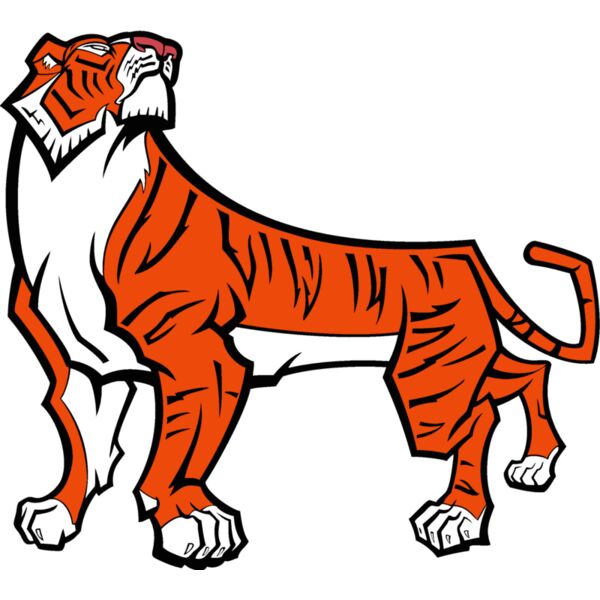 tiger04v4clr Thumbnail