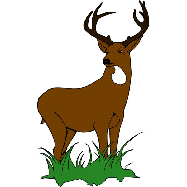 muledeer 2 Thumbnail